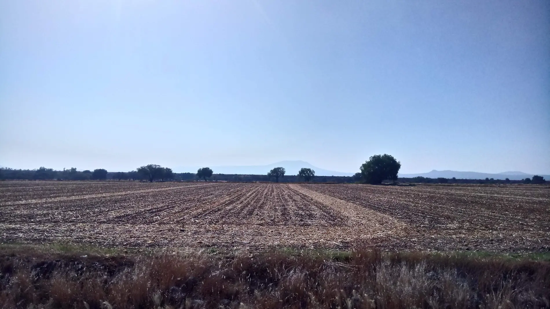 Ejidatarios se ven obligados a vender a bajo costo sus tierras.  Monsetrrat Garc_a  El Sol de San Juan del R_o.